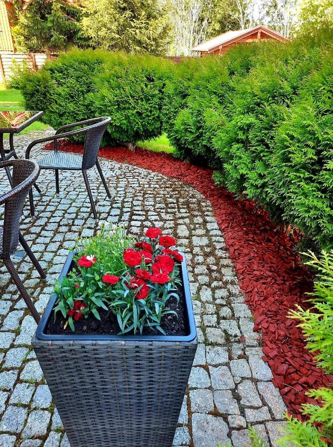 Poduszka Grace Bed & Breakfast *